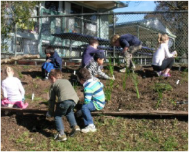 Banyule PS photo (Our Indigenous Garden)
