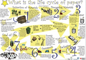 Life Cycle of Paper