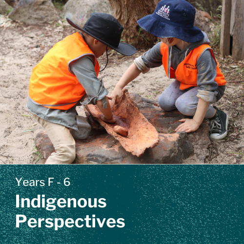 Indigenous perspectives