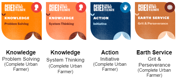 our digital badges: Knowledge - Problem Solving, Knowledge - System Thinking, Action - Initiative, Earth Service - Grit & Perseverance
