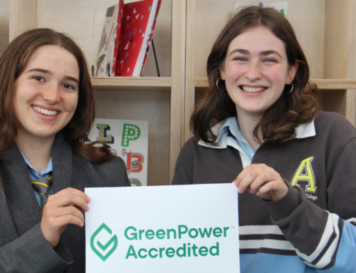 Albert Park College share their successful initiatives to help schools reduce energy usage