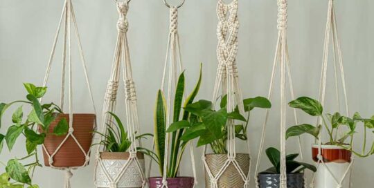 Macrame plant hangers in a row