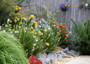 Native flowers produce a colourful garden design.