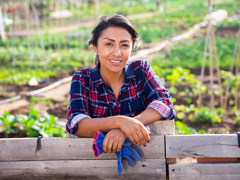 Woman gardener smiling in a field of vegetables.