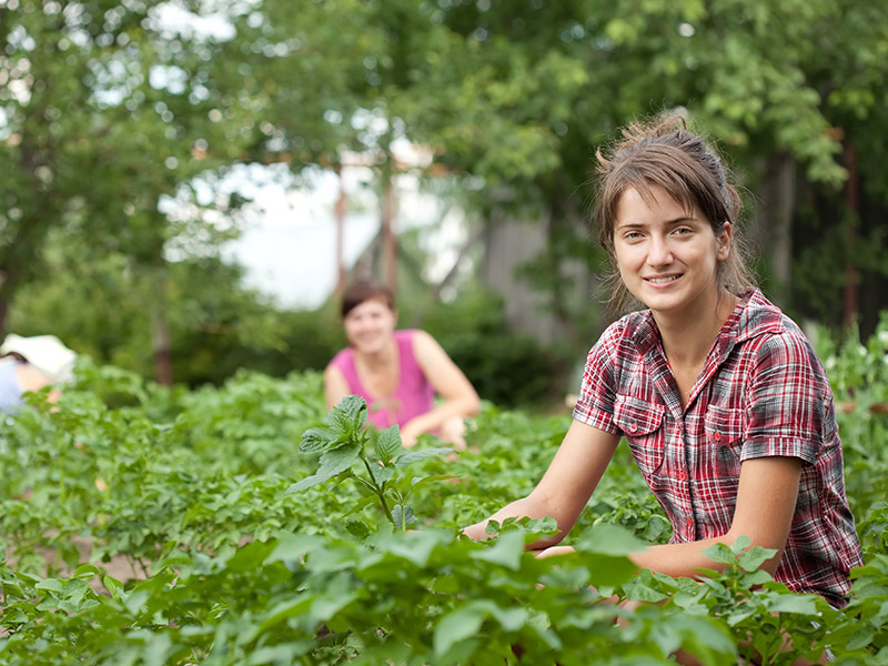 A woman is crouched in a field of potatoes. She is smiling at the camera, while other people can be seen in the background.