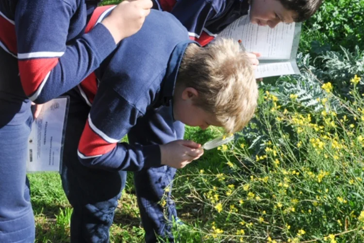 A student looking at plants with a magnifying glass while peers fill out a worksheet