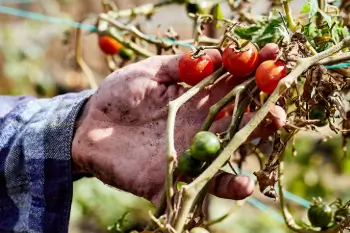 CERES Food Systems