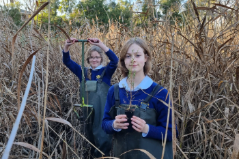 Two secondary students amongst the rushes in wetlands