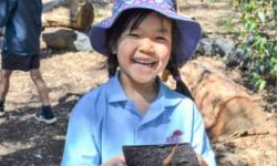 A primary school students is growing a seed on an excursion at CERES