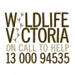 Group logo of Wildlife Victoria