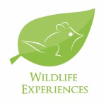 Group logo of Wildlife Experiences